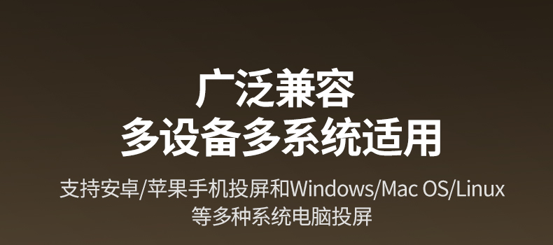 chooer 投屏器 接口丰富 HDMI+3.5音频口